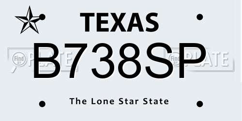 B738SP Texas License Plate