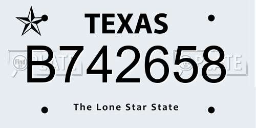 B742658 Texas License Plate