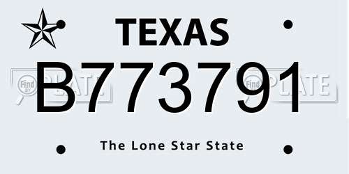 B773791 Texas License Plate