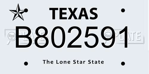 B802591 Texas License Plate