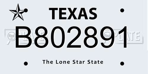 B802891 Texas License Plate