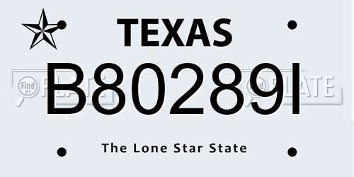 B80289I Texas License Plate