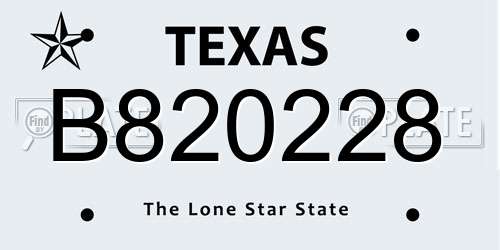 B820228 Texas License Plate