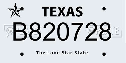 B820728 Texas License Plate