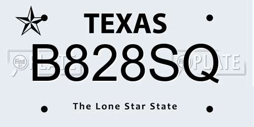 B828SQ Texas License Plate