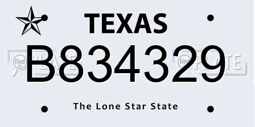 B834329 Texas License Plate