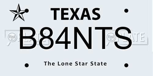 B84NTS Texas License Plate
