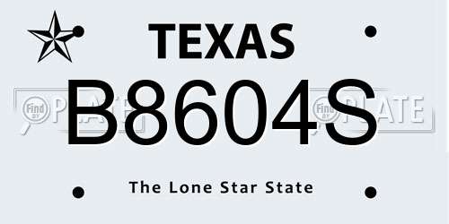 B8604S Texas License Plate
