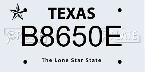 B8650E Texas License Plate