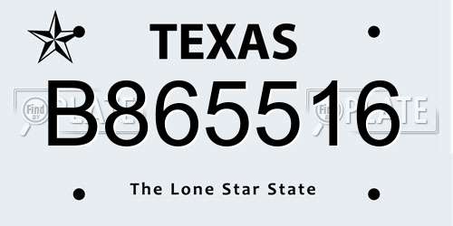 B865516 Texas License Plate