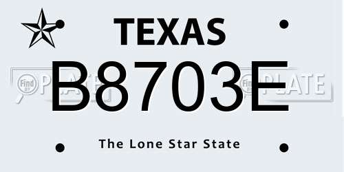 B8703E Texas License Plate