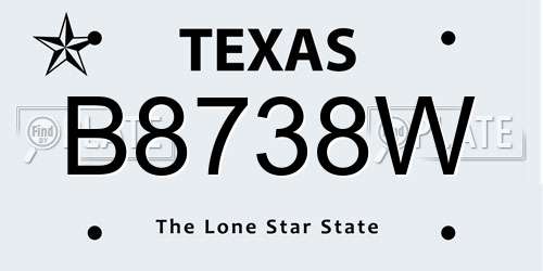 B8738W Texas License Plate