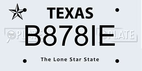 B878IE Texas License Plate