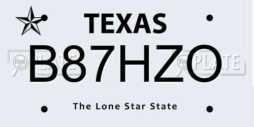 B87HZO Texas License Plate