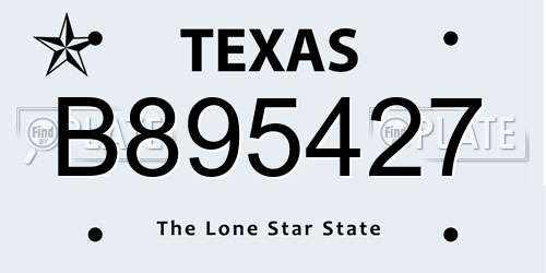 B895427 Texas License Plate