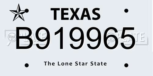 B919965 Texas License Plate