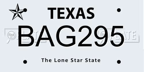 BAG295 Texas License Plate