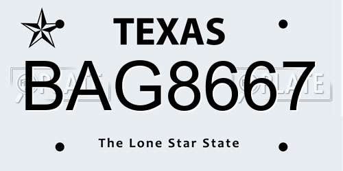 BAG8667 Texas License Plate