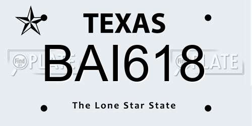 BAI618 Texas License Plate