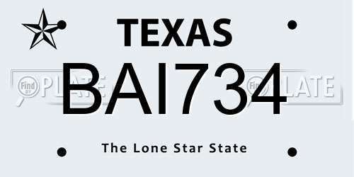 BAI734 Texas License Plate