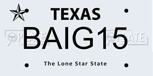 BAIG15 Texas License Plate