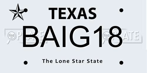 BAIG18 Texas License Plate