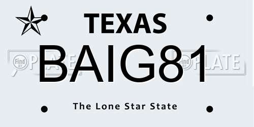 BAIG81 Texas License Plate