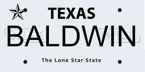 BALDWIN Texas License Plate