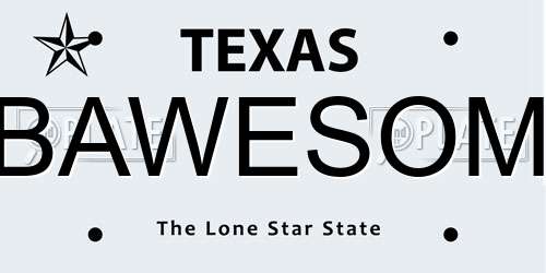 BAWESOM Texas License Plate