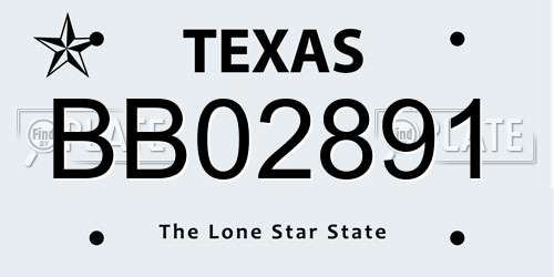 BB02891 Texas License Plate