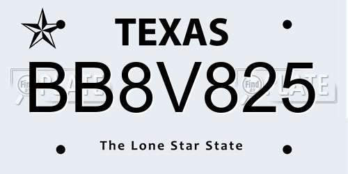 BB8V825 Texas License Plate