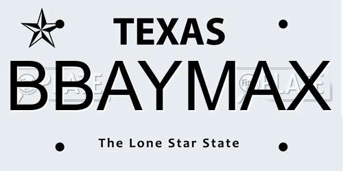 BBAYMAX Texas License Plate