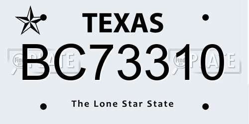 BC73310 Texas License Plate