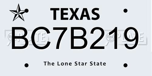 BC7B219 Texas License Plate