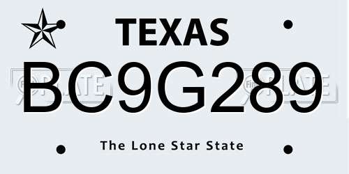 BC9G289 Texas License Plate