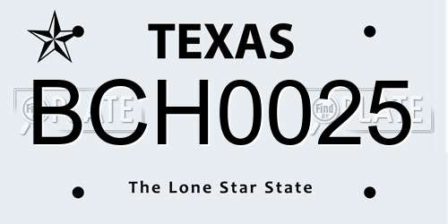 BCH0025 Texas License Plate