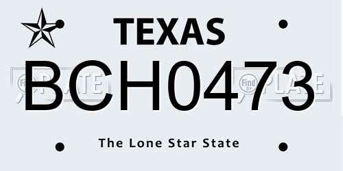 BCH0473 Texas License Plate