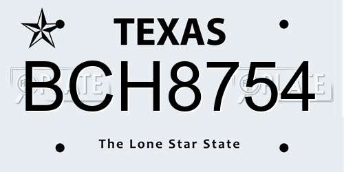 BCH8754 Texas License Plate