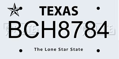 BCH8784 Texas License Plate