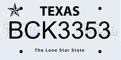 BCK3353 Texas License Plate