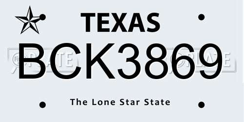 BCK3869 Texas License Plate