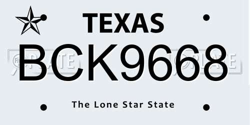 BCK9668 Texas License Plate