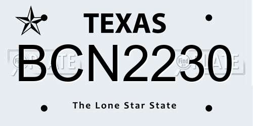 BCN2230 Texas License Plate