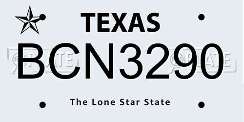 BCN3290 Texas License Plate