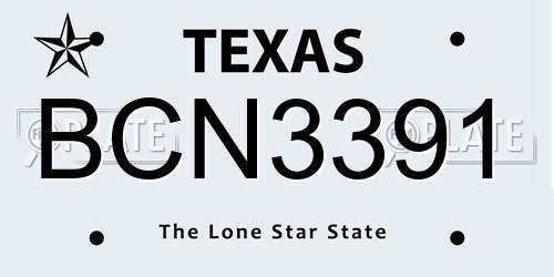 BCN3391 Texas License Plate