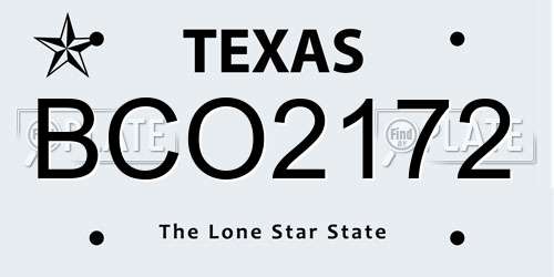 BCO2172 Texas License Plate