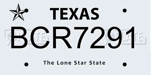 BCR7291 Texas License Plate