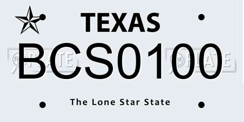 BCS0100 Texas License Plate