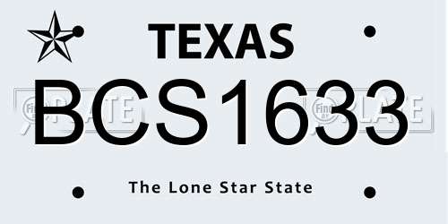BCS1633 Texas License Plate