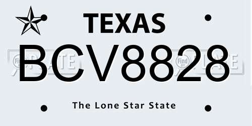 BCV8828 Texas License Plate